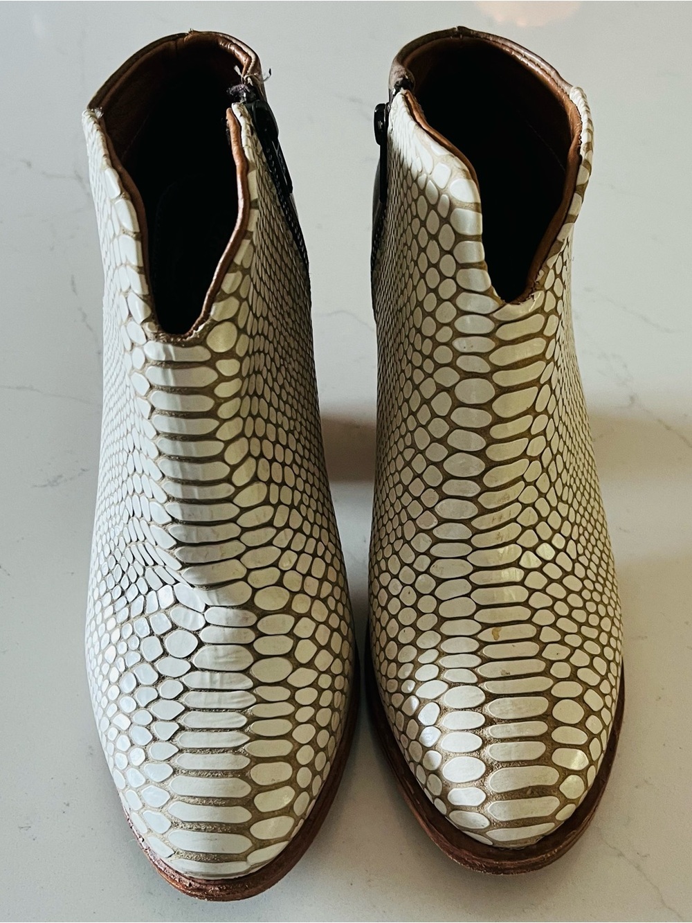 freebird Two-Tone Snake-Print and Brown Leather Ankle Booties - Picture 4 of 5